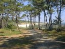 Ragounitte 1998