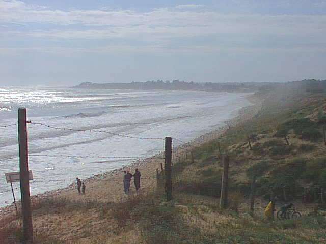 du haut de la dune, vers la maison de Georges Cl�menceau