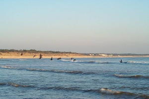 l'arriv�e des promeneurs a fait lever les oies